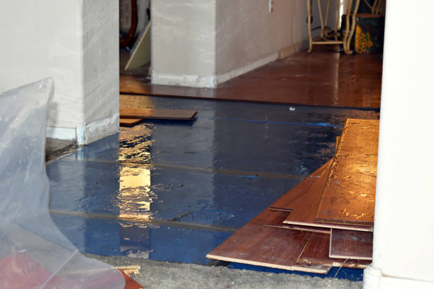 Professional Water Damage Repair technician working in Helena, OK